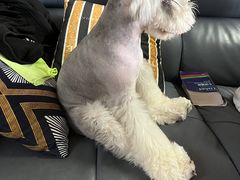 -大三元丝袜奶茶(创于2013·动感小西关店)