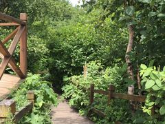 -白草畔自然风景区