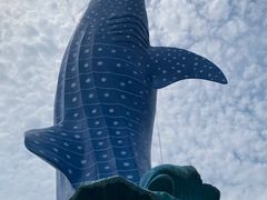 -珠海长隆海洋王国