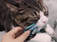 -芭比堂动物医院·24小时·眼科中心(深圳中心)