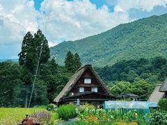 -白川乡与五箇山的合掌构造村落