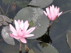 -那考河湿地公园