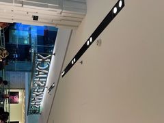 -Shake Shack(西单大悦城店)