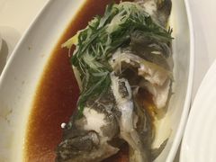-陶然轩(沙面店)