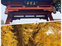 -北京石刻艺术博物馆(五塔寺)