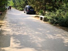 -绿堤公园