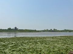 -上海海湾国家森林公园