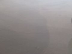 -陈露国际冰上中心(天津嘉里汇店)