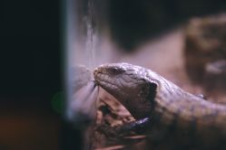 -酷嗒动物文化乐园(cutezoo西溪乐天城店)