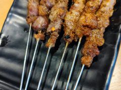 只撒盐的羊肉串-蒙料·手把肉(望京店)