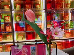 -哈根达斯(绵阳涪城万达店)
