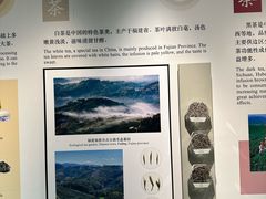 -中国茶叶博物馆(双峰馆区)