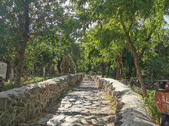 -阳台山自然风景区