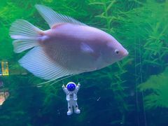 -常州海昌海洋探索馆