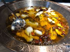 蜀龙阁水煮鱼-雲蜀龙阁·金牌水煮鱼(方庄店)