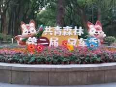 -上海共青森林公园