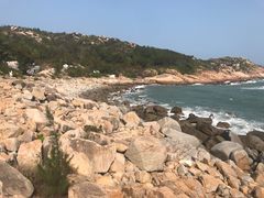 -广东惠东海龟国家级自然保护区