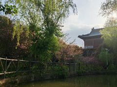 -南汇桃花村