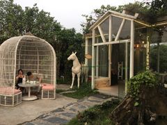 -花溪雨·森林餐厅(石基店)