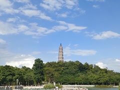-顺峰山公园