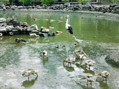 -森林公园(尖草坪区)