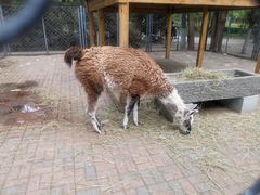 -长白岛森林公园