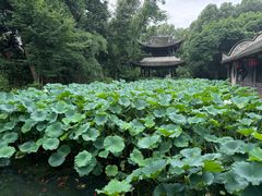 -三苏祠