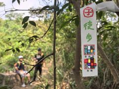 -黄埔油麻山森林公园