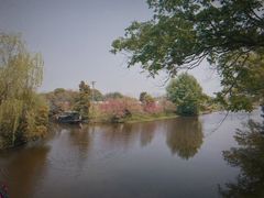 -南汇桃花村