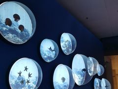 -上海中国航海博物馆