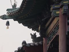 -永安水煮活鱼·仪征土菜院子