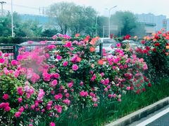 -远洋未来汇
