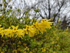 -宜兴龙背山森林公园