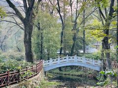 -素山寺森林公园