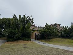 -厦门万豪酒店及会议中心大堂吧·海景下午茶