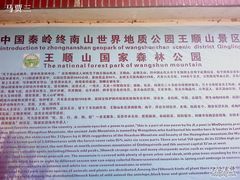 -王顺山国家森林公园