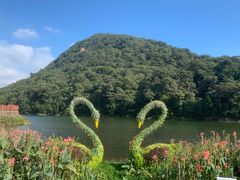 -广州市石门国家森林公园