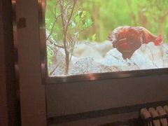 -陆琴脚艺·足浴·SPA(中华路店)