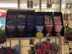 -圣地雅歌KTV(市府广场店)