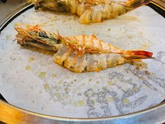 -熊出没日本烧肉放题