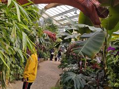 -沈阳植物园