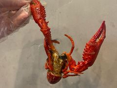 -虾小龙老长沙龙虾馆(坡子街店)