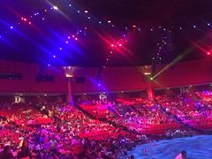 -珠海横琴长隆《卡卡虎奇遇记》