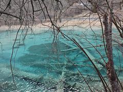 -九寨沟-树正沟