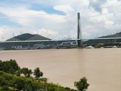 -芒洲湿地公园