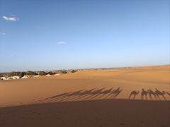 -中青旅遨游旅行旗舰店