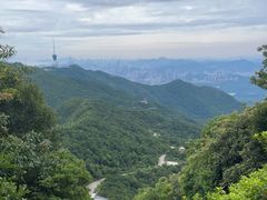 -梧桐山风景名胜区