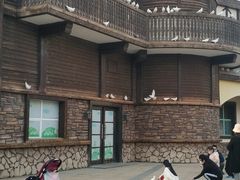 -沈阳方特欢乐世界