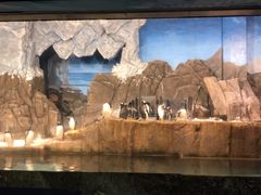 -成都浩海立方海洋公园