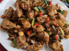 现杀果园鸡—黄焖鸡-生态苑农庄(十里画廊遇龙河店)